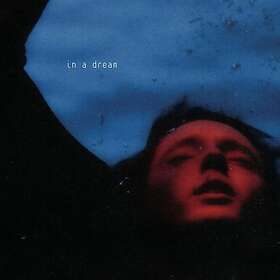 Troye Sivan In A Dream LP/Vinyl
