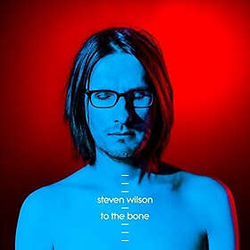 Steven Wilson To The Bone LP/Vinyl