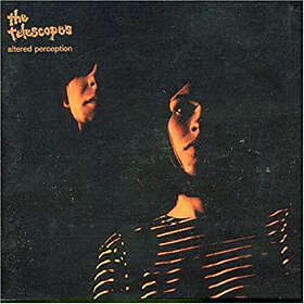 The Telescopes Altered Perception LP/Vinyl