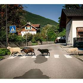 Maxi Pongratz I Mecht An Landler Hean LP/Vinyl