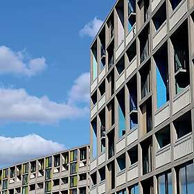 The Wedding Present 24 Songs LP/Vinyl