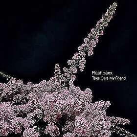 Flashbaxx Take Care My Friend LP/Vinyl