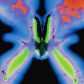 Jorg Kuning Elvers Pass LP/Vinyl