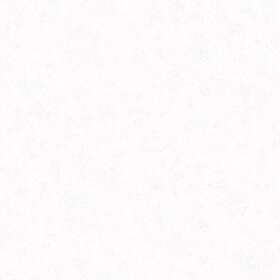 Fiona Home Paper Damask