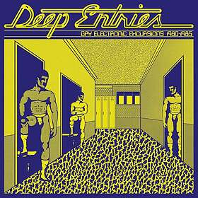 Diverse Artister Deep Entries: Gay Electronic Excursions LP/Vinyl