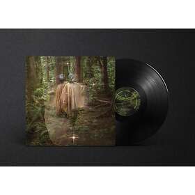 Terror/Cactus Forastero LP/Vinyl