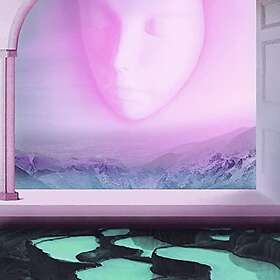 Aspidistrafly Altar Of Dreams LP/Vinyl
