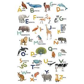 Caselio Aprendemos El Alfabeto Multicouleurs L