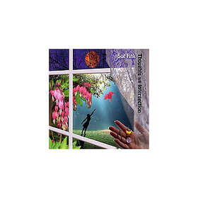 Sue Fink Thoughts At An Intersection CD