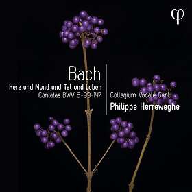 Collegium Vocale Gent, Philippe Herreweghe Bach: Herz und Mund und Tat und Leben Cantatas, BWV 699147 CD