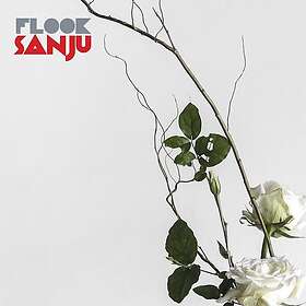Flook Sanju CD