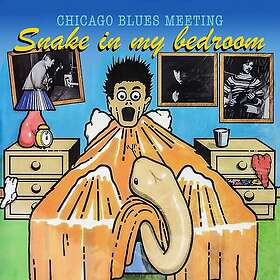 Chicago Blues Meeting Snake In My Bedroom CD