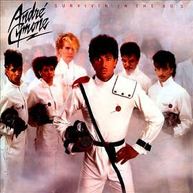 Andre Cymone Survivin In The 80s CD