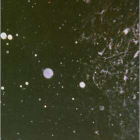 Azrael Into Shadows Act Ii: Through Horned Shadows Glimps CD