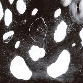 DNA? AND?, N. U. Unruh, Reynols Seele Brennt CD