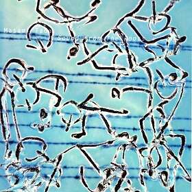 Masami Tada Sound From The Roots CD