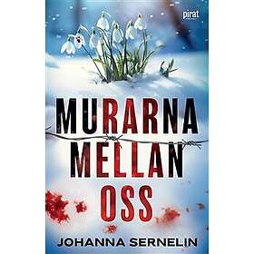 Murarna mellan oss