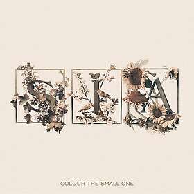 Sia Colour The Small One CD