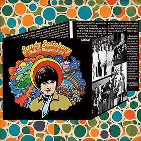 Sandy Salisbury Mellow As Sunshine CD