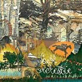 Bell Orchestre Recording A Tape The Colour Of The Light CD