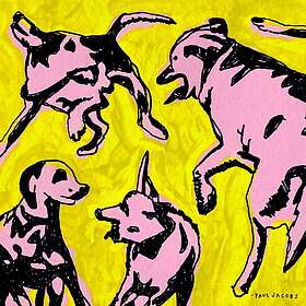 Paul Jacobs Pink Dogs on the Green Grass CD