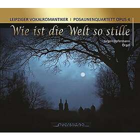 Leipziger Vokalromantiker Wie Ist Die Welt So Stille CD