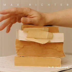 Max Richter In A Landscape LP/Vinyl