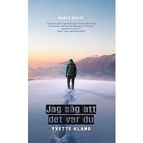 Jag såg att det var du