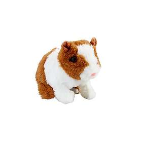Happy Pets Marsvin