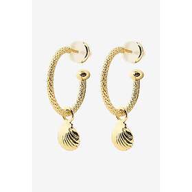 Caroline Svedbom Örhängen Shell Loops Guld