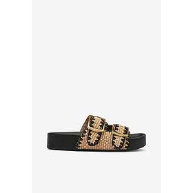 Steve Madden On Deck (Dam)