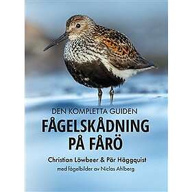 Fågelskådning på Fårö