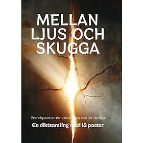 Mellan Ljus och Skugga