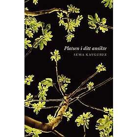 Platsen i ditt ansikte