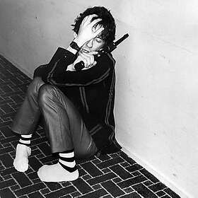 Stiv Bators Disconnected LP/Vinyl