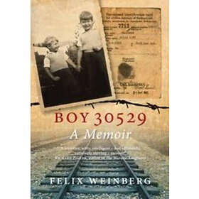 Boy 30529
