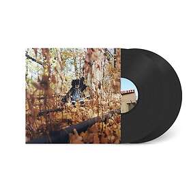 Billy Woods GOLLIWOG LP/Vinyl