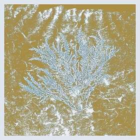 Huerco S For Those Of You Who Have Never LP/Vinyl