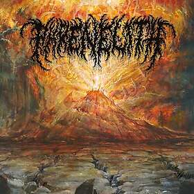 Phrenelith Ashen Womb LP/Vinyl