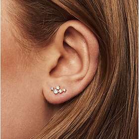 Sparv Twinkle örhängen SILVER One Size 1610201