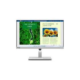 Lenovo L24m-40 23.8" Full HD LED Grey