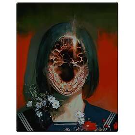 Silent Hill f Steelbook