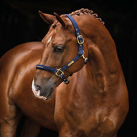 Hansbo Sport Grimma EQUESTRIAN LIFE Marin P Full