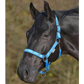 Waldhausen Little Horse Grimma azurblau WB