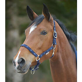 Waldhausen Little Horse Grimma marin VB