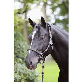 Covalliero Grimma Cordano Olive 1 Pony