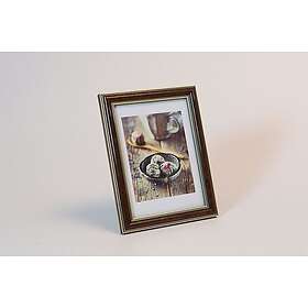 Focus Tango Light Root 15x20