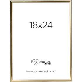Focus Can-Can Shiny Gold 18x24