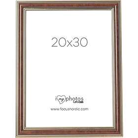 Focus Tango Light Root 20x30