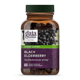 Gaia Herbs Black Elderberry 60 Capsules